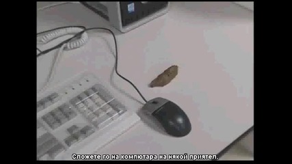 изкуствено лайно 
