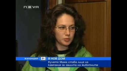 Кучето Мима става лице на кампания срещу насилието над животни 