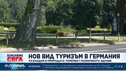 Нов вид туризъм в Германия - разходки в природата укрепват психичното здраве