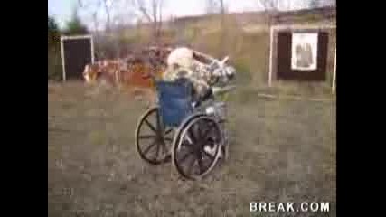 Откачена Бабка