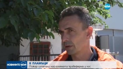 Пожар пламна в кравеферма край село Поповица