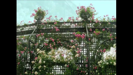 La roseraie de la haye - les - roses