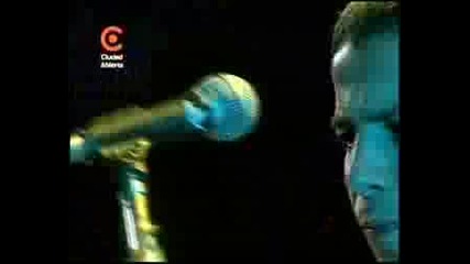 Manu Chao Hamburger Fields/merry Blues