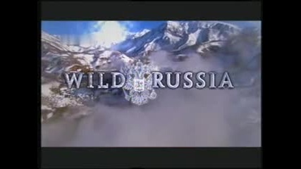 Дивата Русия - Арктика