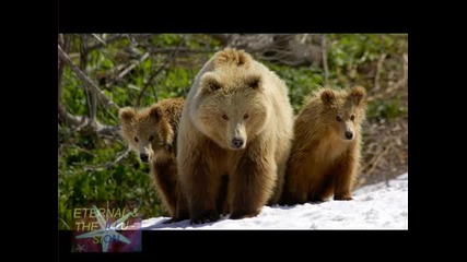 Часът На Земята 27 март 2010 от 20:30 