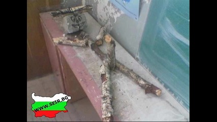 Е това сме ние Българите