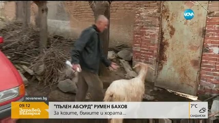 "Пълен абсурд": За козите, бълхите и хората