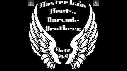 Barcode brothers - flute
