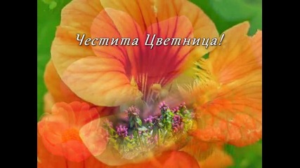 Цветница, Честит Празник!