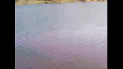 Видео004.3gp