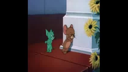 tom and jerry,  smittin kitten.