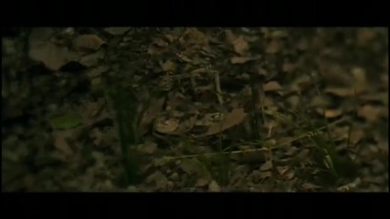 Flyleaf - Fully Alive