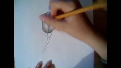 Drawing Rose - 2 different ways
