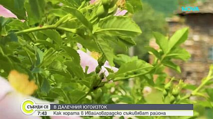 "Дотам и обратно": Как хората в Ивайловградско съживяват района