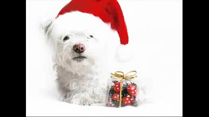 Merry Christmas And Happy New Yaer !