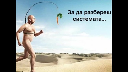 Веселба;забава;майтап- С една дума - Джумбуш!