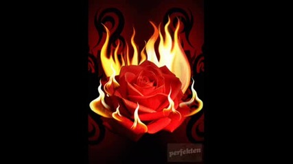 Anastacia - You Never Be Alone - Превод