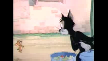 Tom And Jerry - 035 - The Truce Hurts