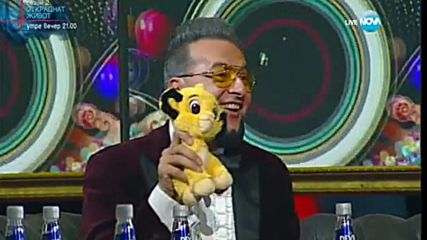 Кои са топ анализаторите във VIP Brother 2016