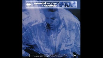 Dj Skribble - Essential Dance 2000