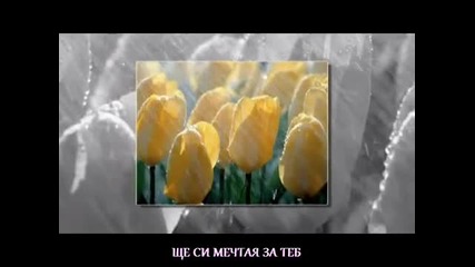 [бг превод] Andreas Kanellos - Gia Sena (андреас Канеллос - За теб)