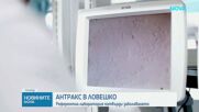 Потвърдиха огнище на антракс в Ловешко