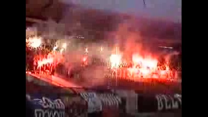 Crvena Zvezda - Delije Sever