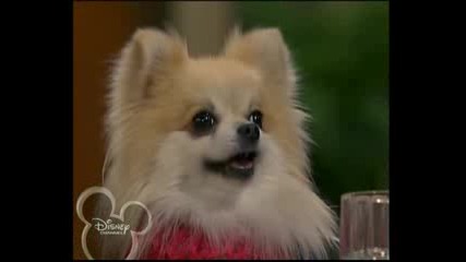 Suite Life of Zack and Cody Episode 24 Part 2