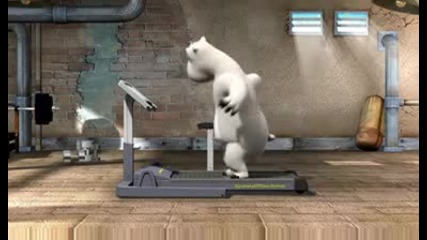Bernard - The Gym