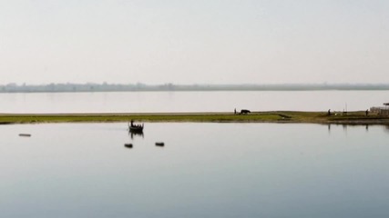 Bonsai Burma - Красота