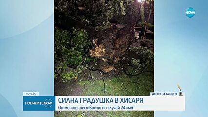 Мощна буря изкорени дървета в Хисаря, има потрошени коли