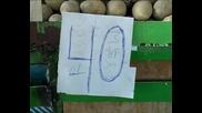 Евтиния на пазара в Столипиново 