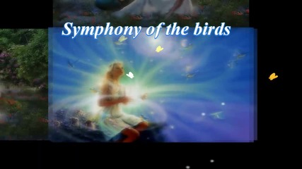 **• Симфония на птиците! ... ( Frederic Delarue music) ... ...•**