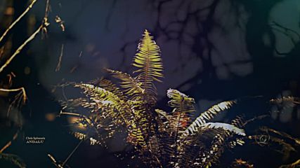 Chris Spheeris - Andalu