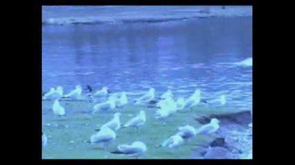 Релакс-с Музиката На Карунеш