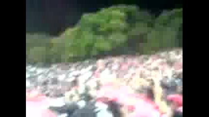 Mov00039.3gp