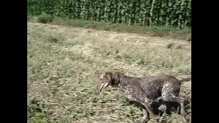 Mov00069