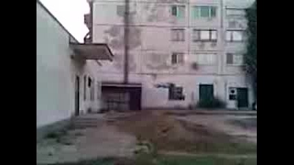 Изчезващ Вид Ненормалник