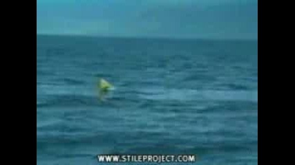 Orca Versus Canoe