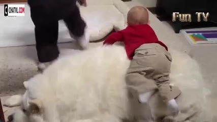 Компилация Смях ! Funny Kids and animals Videos Compilation 2015 (3)
