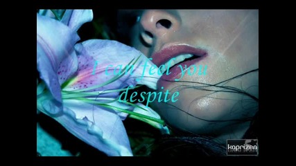 The sunset flower [ Katsarov remix ]