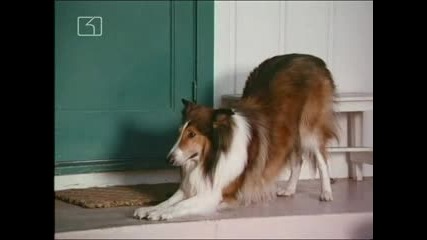 Lassie - 79 E02