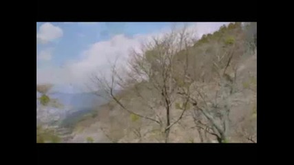 силата на природата Powers Of Nature