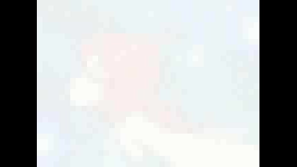 winx bloom transform
