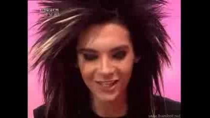 Bill - Spider Pig