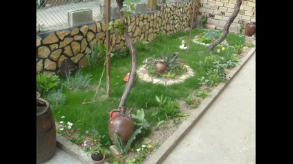 moyata gradina