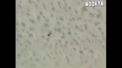 Няма Риск Няма Забавление 