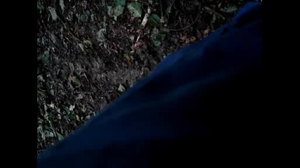 Mov05732