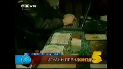 Господари На Ефира - Новините Канал 1