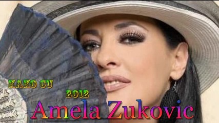 Kako cu - 2012 - Amela Zukovic